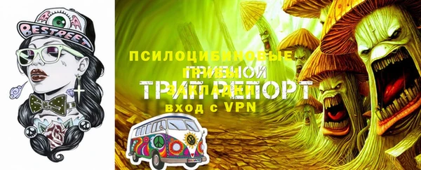 дживик Горнозаводск