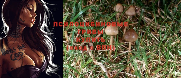 дживик Горнозаводск