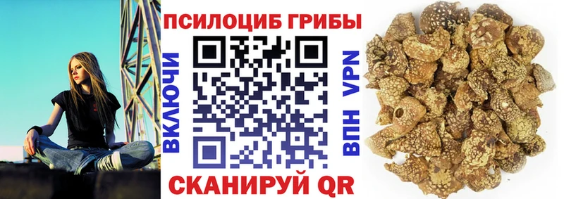Галлюциногенные грибы MAGIC MUSHROOMS  что такое   дарк нет официальный сайт  Закаменск 