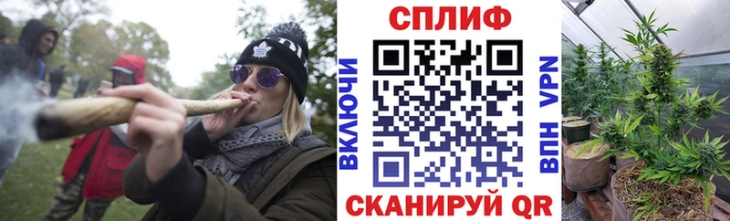 Марихуана OG Kush  купить  сайты  Закаменск 